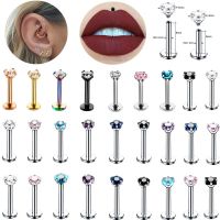 1PC Stainless Steel Crystal Heart Labret Piercing Stud 16G Zircon Tragus Piercing Earring Flat End Star Labret Lip Piercing Stud Body jewellery