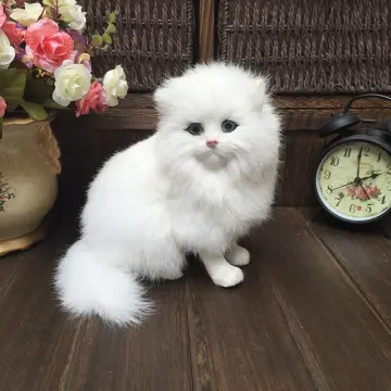 99 hình ảnh con mèo màu trắng cute dễ thương nhất