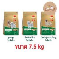 ✤♝◈ SmartHeart Gold Holistic สมาร์ฮาร์ท โกลต์ โฮลิสติก ขนาด 7.5 kg.