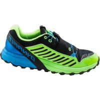 Dynafit Alpine Pro Men Sparta Blue/Cactus