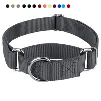 [HOT!] High quality Heavyduty Nylon Martingale Dog Collar Premium Safety Training Dog Martingale Collar For Dogs Adjustable Pet Collar