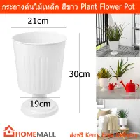 กระถางต้นไม้ กระถางดอกไม้ สีขาว สูง30ซม. (1ชิ้น) Plant Pot flower Pot White Color Galvanized steel Height 30cm. by Home Mall(1 unit)