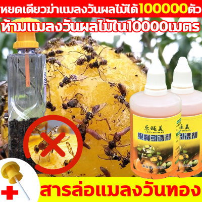 แถมเครื่องเหยื่อ10อัน สารล่อแมลงวันทอง ห้ามแมลงวันผลไม้ใน10000เมตร สารล่อแมลงทอง ต้นทุนต่ำและผลดี ยาแมลงวันทอง ผลยายาวถึง 12 เดือน กับดักแมลงวันทอง