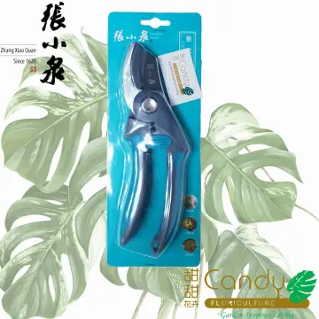 Zhang Xiaoquan Can Opener