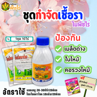 ? ชุดกำจัดเชื้อรา แซดเทบู+ไตรไซคลาโซล 500ซีซี+100กรัม*2ซอง ป้องกันโรคเมล็ดด่าง ใบไหม้ คอรวงไหม้ แถมฟรีนูโปรมิกซ์ ซองชมพู