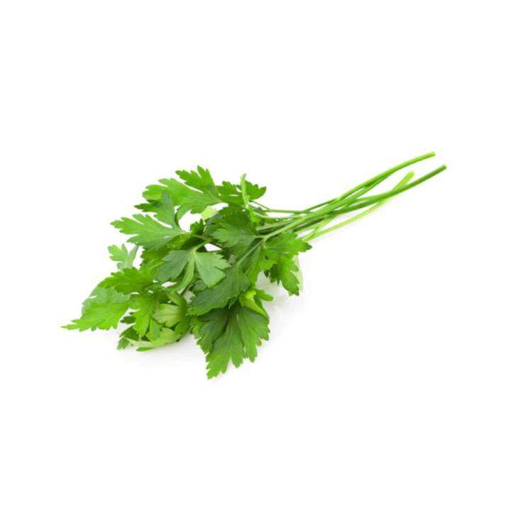 Flat Leaf Parsley (30g) by Salad Time Lazada PH