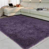 【SALES】 FAMIFUN Shaggy Tie-dye Carpet Living room/Bedroom Carpets Plush Floor Fluffy Mats Kids Room Faux Fur Area Rugs Silky Rug