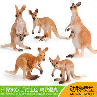 ❤การขายส่งโรงงานอุตสาหกรรม❤จำลองสัตว์ป่า Kangaroo รุ่นแม่ Kangaroo พร้อมลูกสัตว์ป่า Solid เครื่องประดับของเล่นความรู้ความเข้าใจ