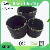 B5ev40er4ly Shop B5ev40er4ly Shop B5ev40er4ly Shop 1 3 5 10 gal gallon vegetable plant flower fabric potato grow pots nursery bags for tree jardim planter growing supplies tool