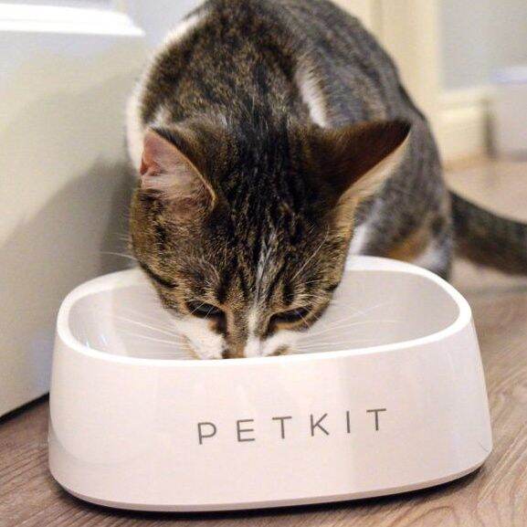 ชามชั่งน้ำหนักอัตโนมัติ-petkit-ชามสัตว์เลี้ยงดิจิทัลอัจฉริยะ-ชามอาหารชั่งน้ำหนักแบบดิจิตอล-ชามอาหารสุนัข-ควบคุมปริมาณอาหาร-aaa-4-ก้อน-petitz