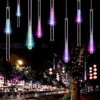 ขายทั้ง Led Light String ตกแต่งสวนกลางแจ้ง AC110-220V Euusauuk Plug Yard &amp; Garden Decor Festoon Led Light