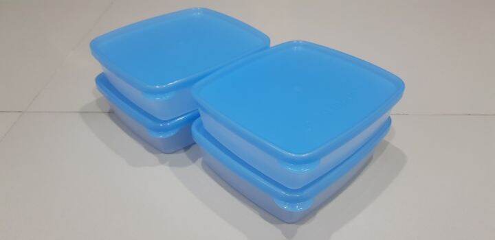 tupperware-กล่องเหมันต์มินิ-4