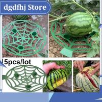 Dgdfhj Shop 15pcs/lot Watermelon Vegetables Fruit Stand Support basket Frame Holder Plant Tray Rack Gardening Stand Garden Tools