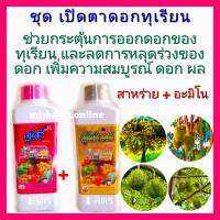 ชุด เปิดตาดอกทุเรียน กระตุ้นออกดอก สาหร่าย+อะมิโน ยูโรซี+ยูโรโกรด์ 1ลิตร ช่วยกระตุ้นให้ทุเรียนออกดอกมากขึ้น ออกดอกได้สม่ำเสมอ สมบูรณ์