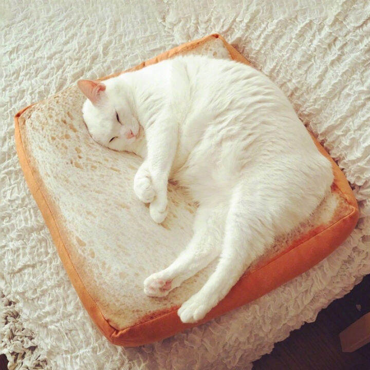 bread-toast-bread-slice-style-pet-mats-cushion-soft-plush-pillow-warm-mattress-bed-gift-for-your-cats-dogs-per-best-gift-for-kid