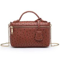 New Customized Designer Handbag Ostrich Pattern Leather Bags Women Clutch bag Party Evning Trendy Bag Ostrich Bag with Chain