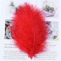 100PCS/Bag Red Turkey Feathers Fluffy Dyed Plums DIY jewelry decorative accessories Decoration plume Crafts 10-15cm