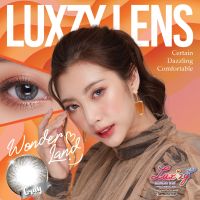 ❤️มีสายตาสั้น❤️ แถมตลับ LuxzyLens  wonderland Brown Gray  เลนส์คุณภาพ จากเกาหลี ค่าสายตาสั้น -0.50 ถึง -10.00 คอนแทคเลนส์ กรองแสง กันยูวี