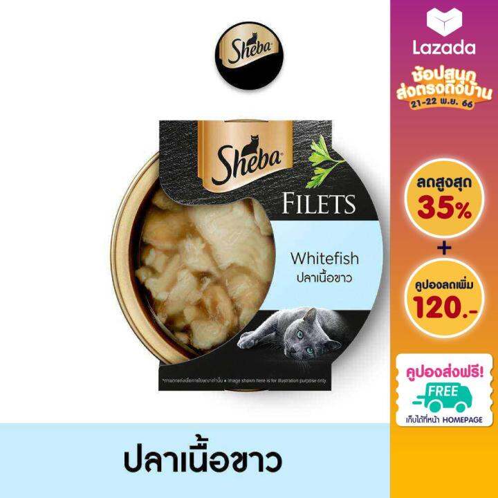 ส่งฟรี-ขายดี-sheba-ชีบา-ฟิเลต์-อาหารแมว-ชนิดเปียก-อาหารแมวพรีเมียมสำหรับแมวโตเต็มวัย-60-ก