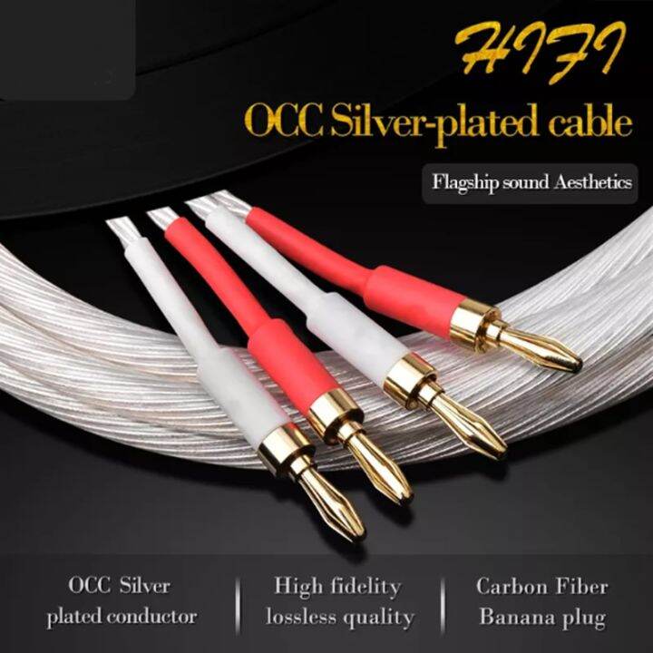 One Pair Hifi Speaker Cable High Quality Silverplated Speaker Wire for