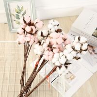 10 sheets of single dried cotton branch DYI artificial bouquet natural creative living room party decoration garden home decor