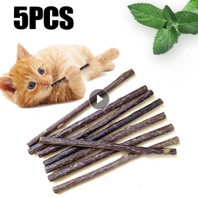 5PCS Cat Mint Toy Cat Molar Toothpaste Stick Pet Mint Caught Bite Excited Rods Silvervine Cat Snacks Sticks Pet Cleaning Teeth
