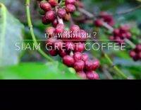 ว้าววว คั่วสูตรพิเศษ เม็ดไซต์ A เมล็ดกาแฟคั่ว Arabica 100 % ดอยช้าง บรรจุถุง วาล์วดำ 250g. เพียง 95฿ คุ้มสุดสุด วาล์ว ควบคุม ทิศทาง วาล์ว ไฮ ด รอ ลิ ก วาล์ว ทาง เดียว วาล์ว กัน กลับ pvc