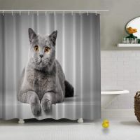 ☸♤❈British Shorthair Cat Lying On White Photo Practical Shower Curtain for Home Office