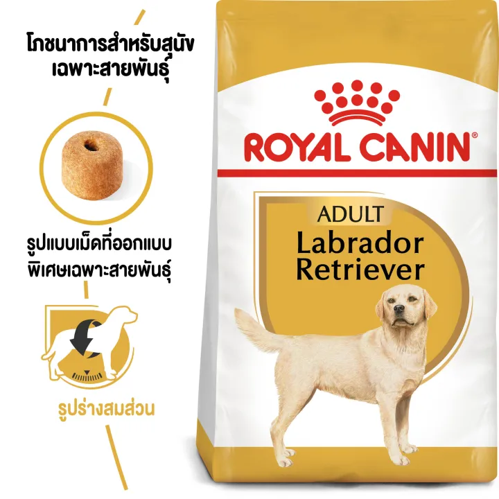 หมดอายุ2-4-24-royal-canin-labrador-retriever-adult-12-kg-อาหารสุนัขโตพันธุ์ลาบราดอร์