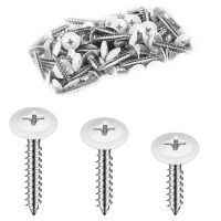 Wood White Sheet Metal Screw Thread Truss Head Fast Self Tapping White Pan Cabinet Screws Nails Screws  Fasteners