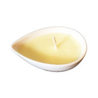 SenOdos Soy Wax Massage Candle (Fabulous Spa) - Relax, Nourish, Pain Relief, Brighter Skin, Reduce Wrinkles and Reduce Fat, 100% Pure Soy with 25 Herbal Oils and 7 nourishing oils, Easily Absorbs into Skin, Spa Candles 70gm