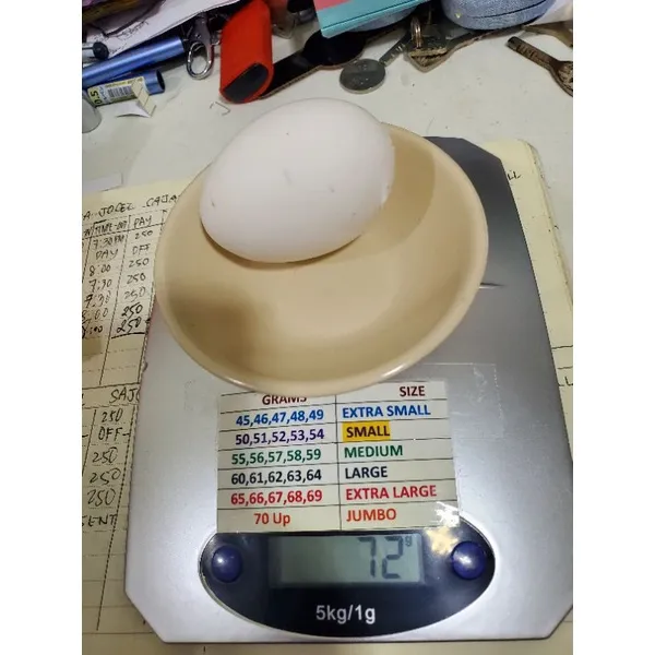digital egg weighing scale easy reading egg scale Lazada PH