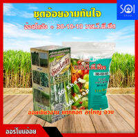 ฮอร์โมนฉีดอ้อย [อ้อยโตจัง + 30-10-10วาย.วี.พี.ฟีด] ดูดซึมได้ดีทั้งทางใบและระบบราก เพิ่มการแตกหน่อ(ลำ) ลำสูงสม่ำเสมอ ช่วยเพิ่มความหวาน