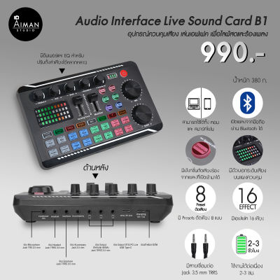 Audio Interface Sound Card B1