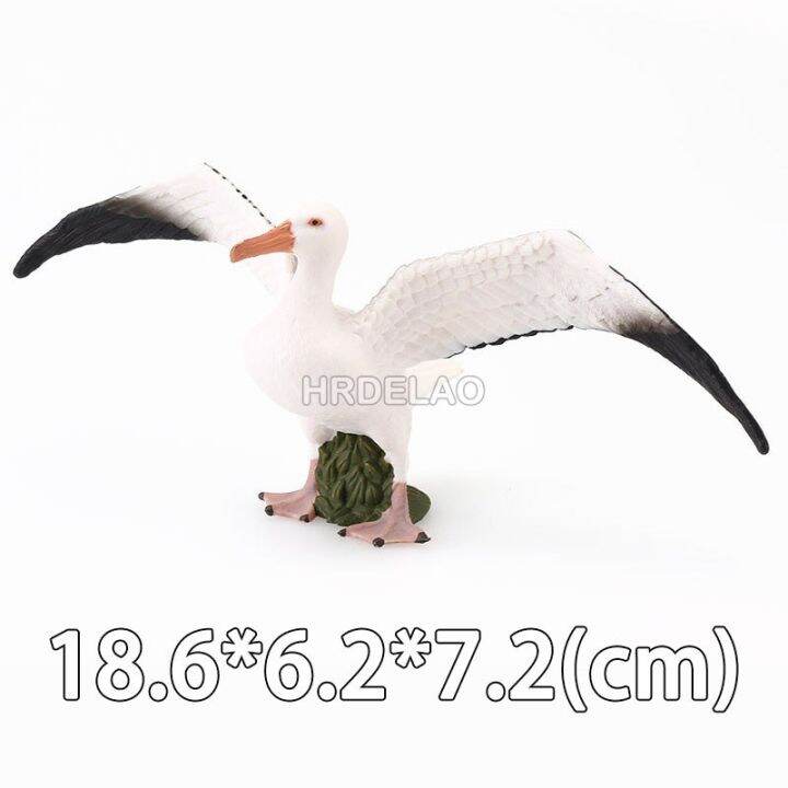 zzooi-simulation-bird-animal-flamingos-parrot-sea-mew-peacock-owl-ostrich-model-action-figures-miniature-educational-toys-for-children