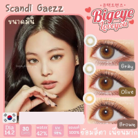 คอนแทคเลนส์ ?Scandi? Brown Hazel/Gray/Olive (Sweety Soft) ขนาดมินิ ?ขายดี?สุดฮิตจากเกาหลี?