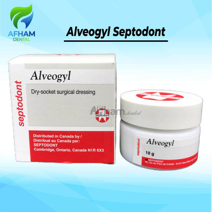 DENTAL ALVEOGYL ALVOGYL Lazada Indonesia