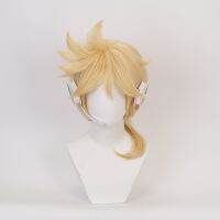 Cosplay Wig Heat Resistant Synthetic Hair Cosplay Costume Wigs + Wig Cap Wig  Hair Extensions Pads