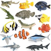 [AhQ ornaments] 2021จำลอง Ocean Sea Life สัตว์รุ่น Sturgeon Flounder ปลาทูน่า Grooper Tropical Fish Action ของเล่นตัวเลขเด็กของเล่นเพื่อการศึกษา