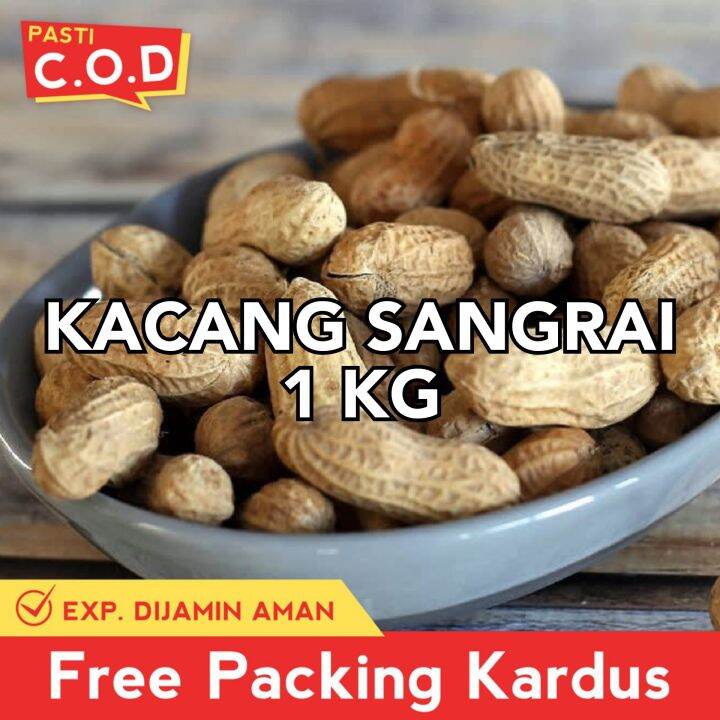 Kacang Kulit Sangrai 1kg Premium Kacang Kiloan Terlaris Lazada Indonesia