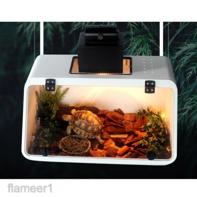 Reptile Turtle Tortoise Vivarium Box Aquarium Tank Case with Basking Ramp