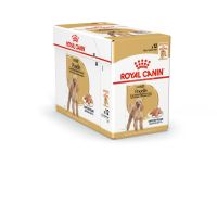 นาทีทอง ส่งฟรี [Cheaper] [ยกโหล] Royal Canin Dog Pouch 85g [มี3สูตร] โรยัลคานิน อาหารเปียก สุนัข 85 กรัม