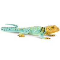 Safari Ltd. : SFR271029* โมเดลสัตว์ Collared Lizard