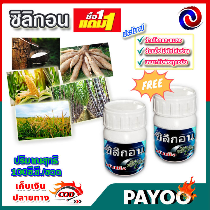 ซิลิกอน-100-ซี-ซี-ซื้อ1แถม1-ปุ๋ยน้ำ-อาหารเสริมพืช-ฮอร์โมนพืช