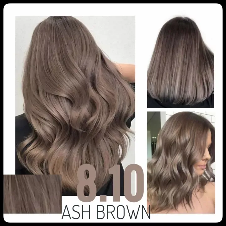 Phx-leo Bremod Hair Color with Oxidizer  Ash Brown | Lazada PH
