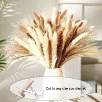 90Pcs Pampas Grass Including White Natural Dried Flowers Reed Grass Bouquet for Wedding Boho Home House Table Party Decor