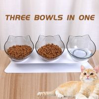 15 Tilted Cat Triple Bowl with Stand Non-Slip Dog Feeder High Elevated Pet Feeding Drinking Snack Bowls for Three Cats Small Dog