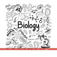 Biological cell DNA model design standard wall stickers science laboratory school classroom is hollow-out decorative wall stickers