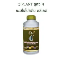 ส่งด่วน คิวแพลน  Q plants (Qyou)  หัวอาหารพืช สูตรเข้มข้นจบครบทุกอย่างที่พืชต้องการ ปุ๋ยทางใบ ปุ๋ยหมัก ปุ๋ยชีวภาพ