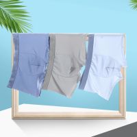 【CW】 L-3XL Men Briefs Shorts Silk Perforated Undershorts Boy Panties Cotton Homme Underpants Knickers